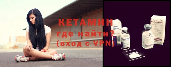 стаф Пересвет