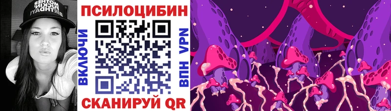 где купить наркотик  Мглин  kraken маркетплейс  Галлюциногенные грибы Psilocybe 